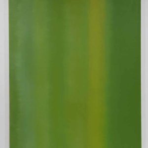 Improvisation, nuancier mousse, pigments liés à l’huile de lin sur toile de lin, 74 x 98 cm, 2024